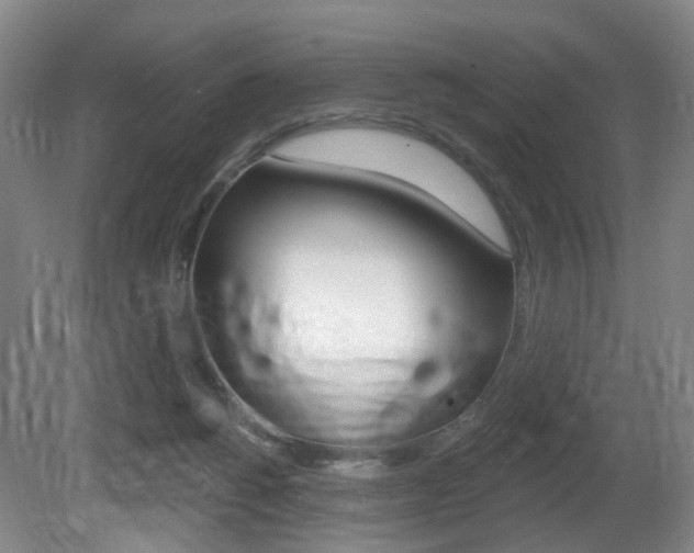 X0000081560168200701151009