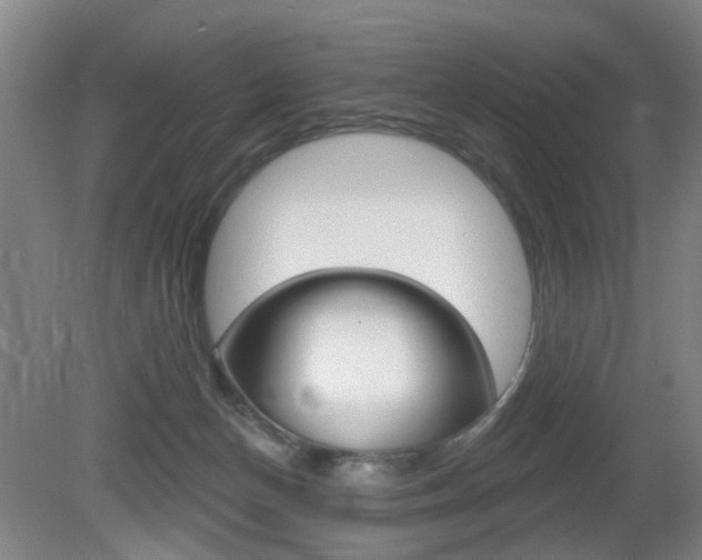 X0000081560174200701151009