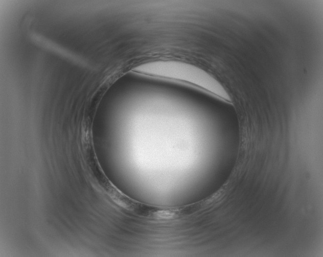 X0000081560176200701151009