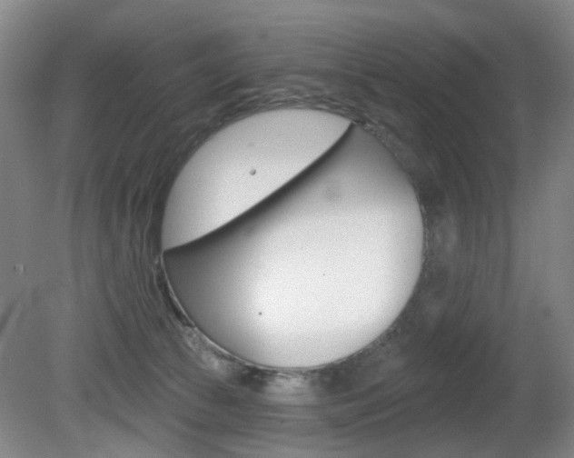 X0000081560177200701151009