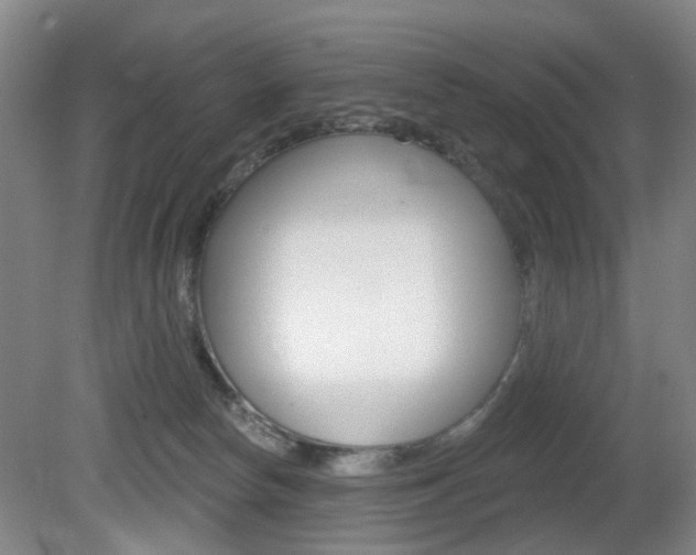 X0000081560178200701151009