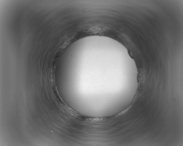 X0000081560182200701151009