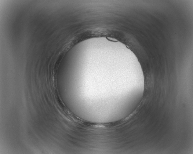 X0000081560183200701151009
