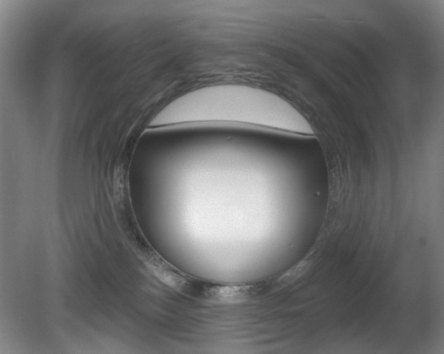 X0000081560184200701151009