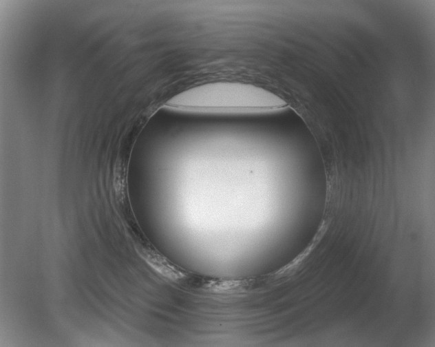 X0000081560186200701151009