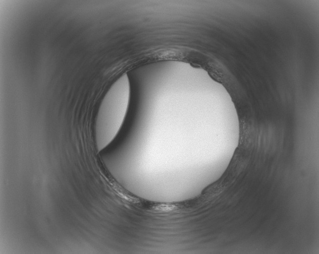 X0000081560189200701151009