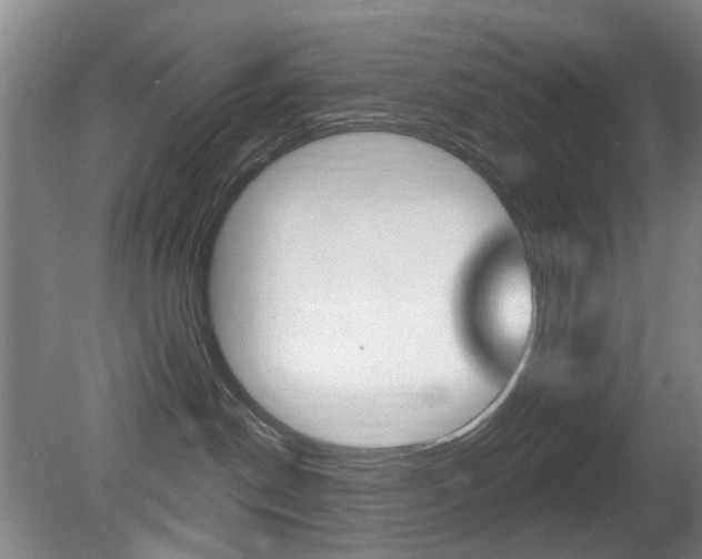 X0000081560190200701151009