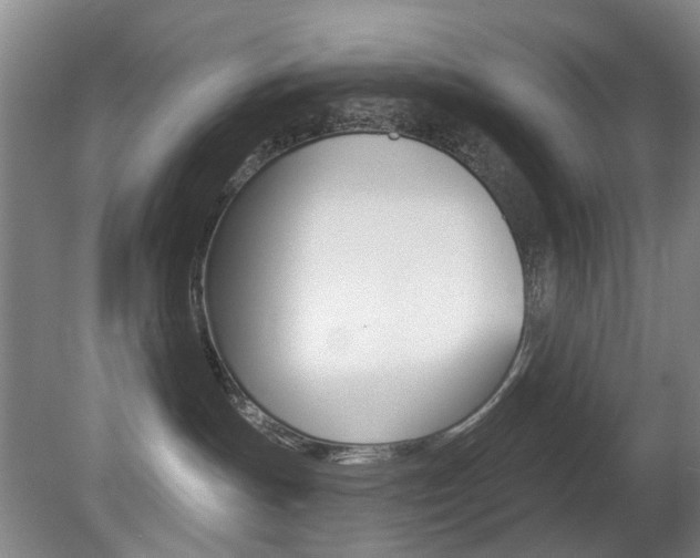 X0000081560191200701151009