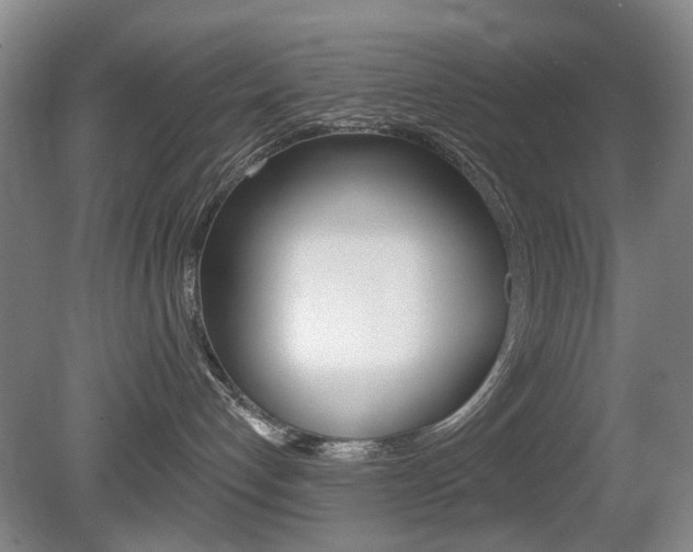 X0000081560192200701151009