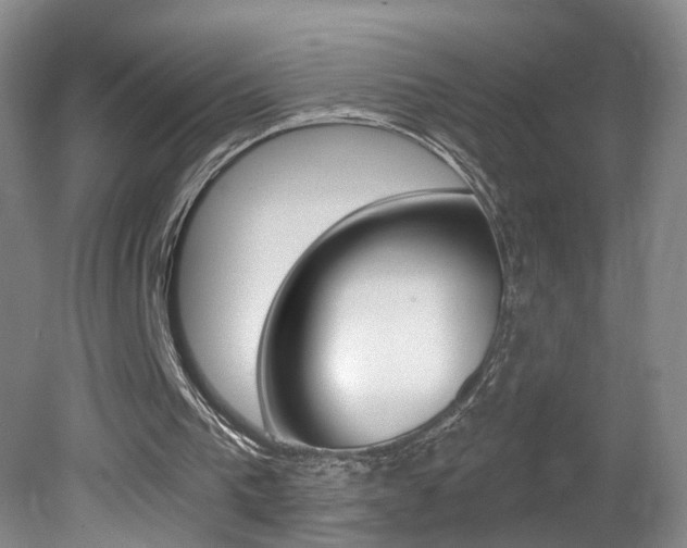 X0000081560193200701151008