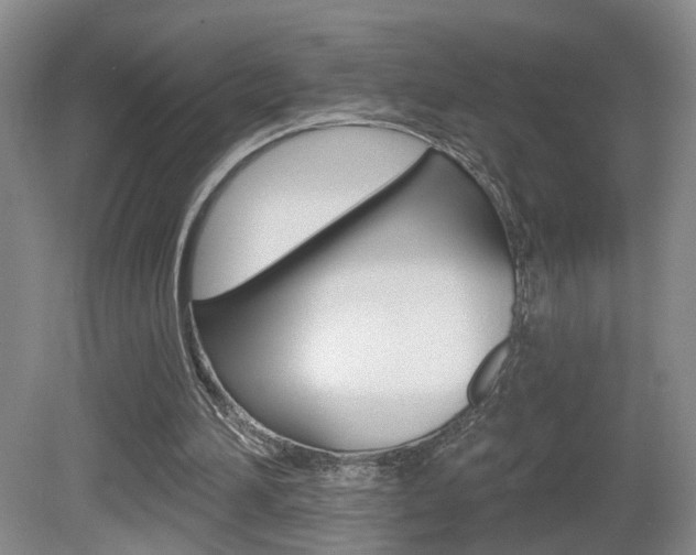 X0000081560196200701151008