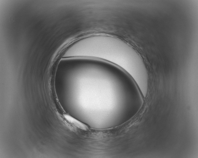 X0000081560197200701151008
