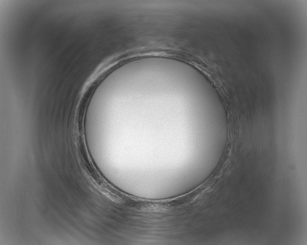 X0000081560198200701151008