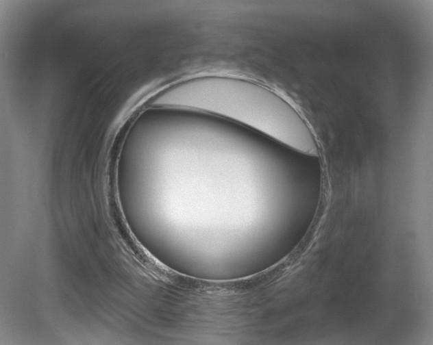 X0000081560199200701151008