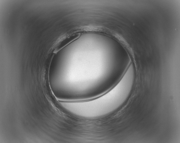 X0000081560201200701151008