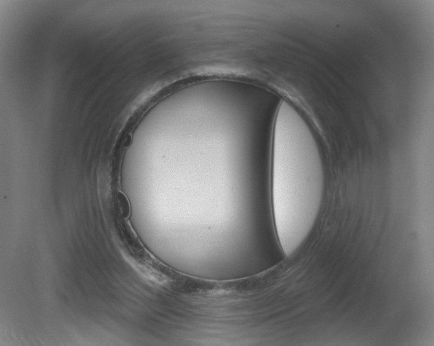 X0000081560204200701151008