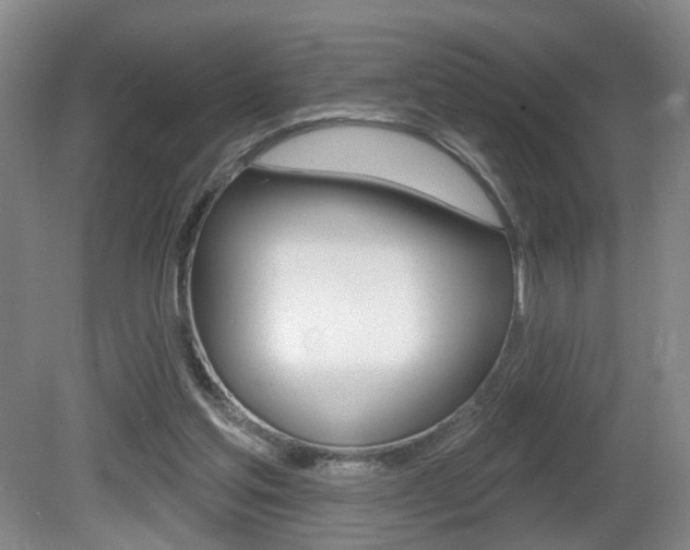 X0000081560205200701151008