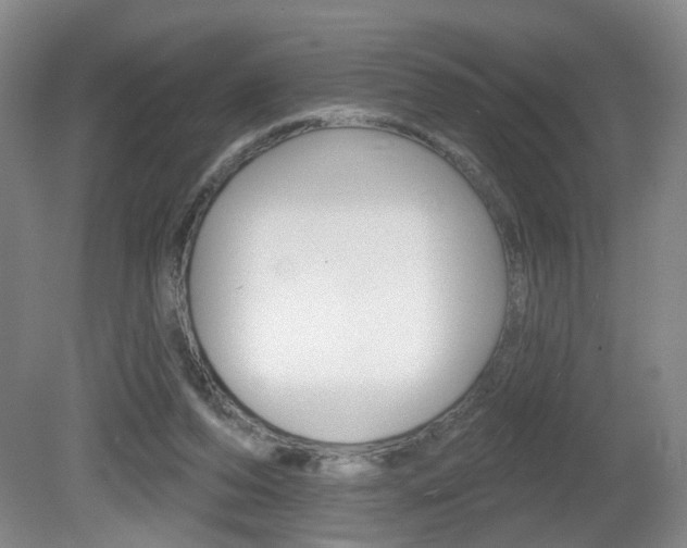 X0000081560208200701151008