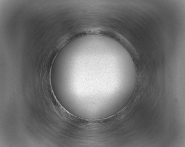 X0000081560209200701151008