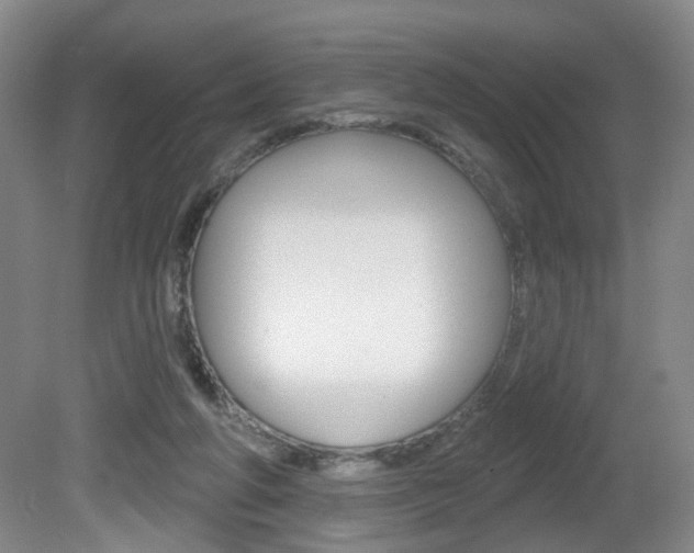 X0000081560210200701151008