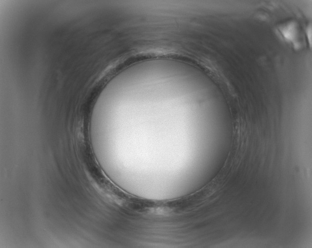 X0000081560212200701151008
