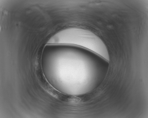 X0000081560215200701151008