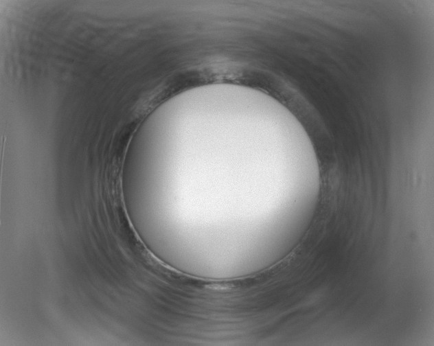 X0000081560218200701151008