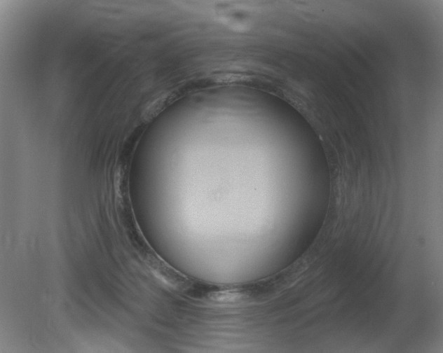 X0000081560219200701151008