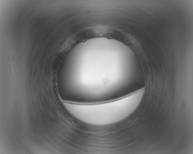 X0000081560221200701151008