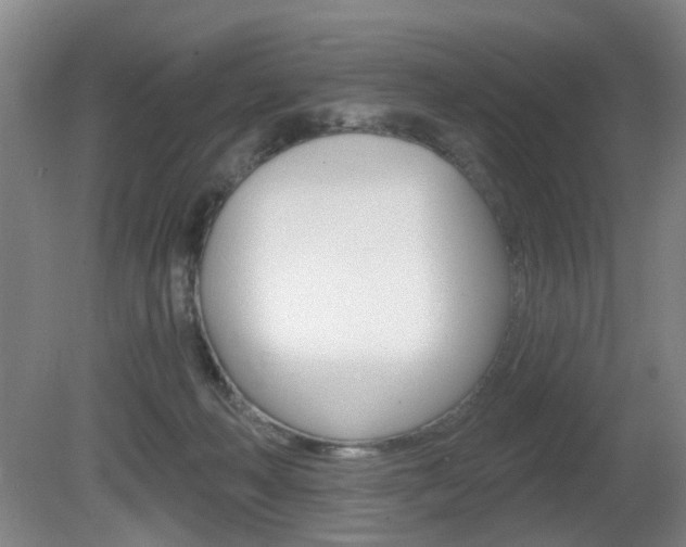 X0000081560222200701151008