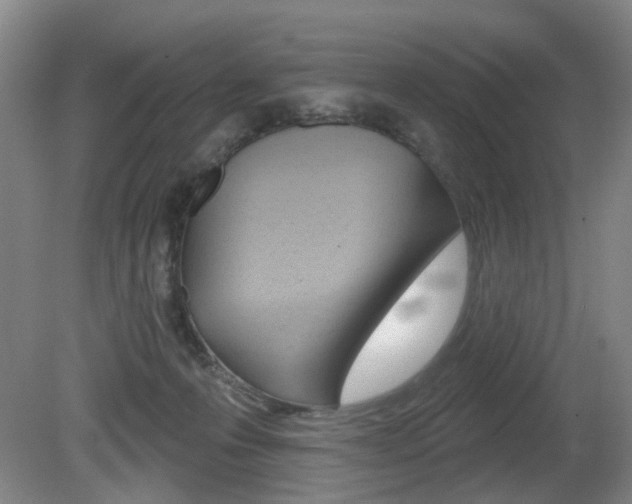 X0000081560223200701151008