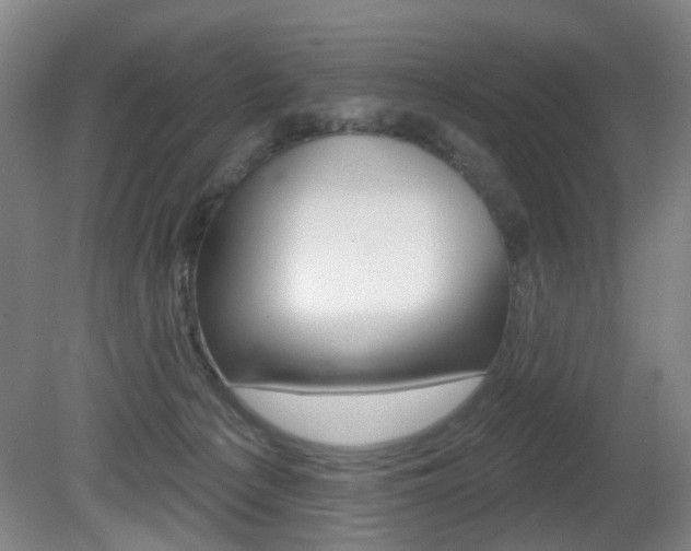 X0000081560225200701151008