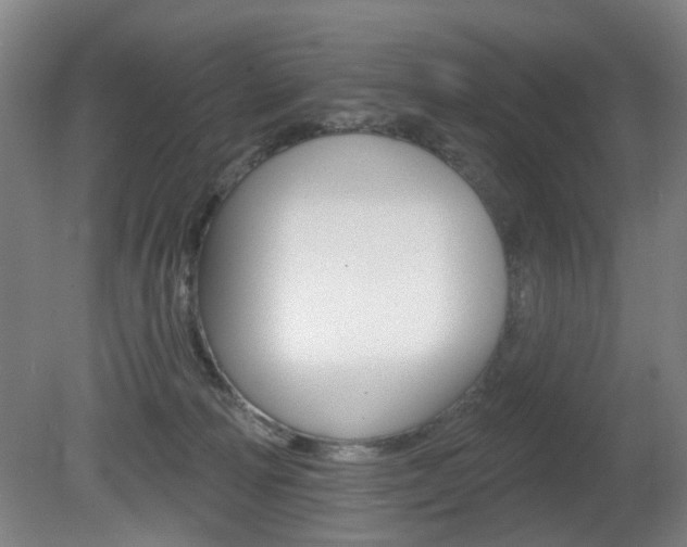 X0000081560226200701151008