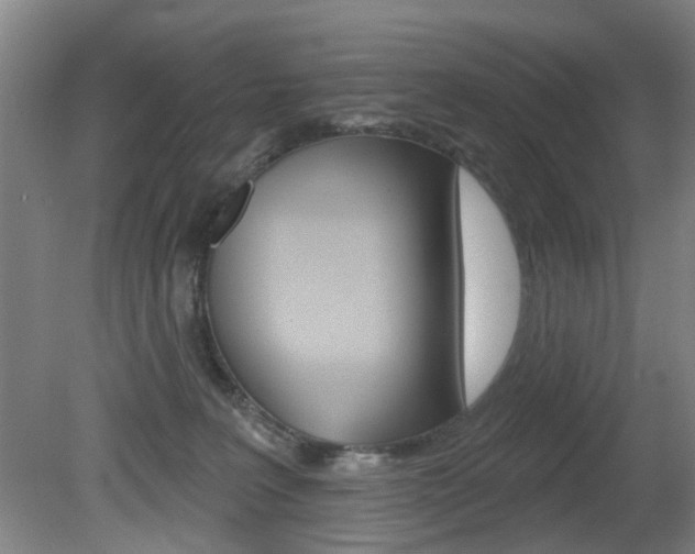 X0000081560227200701151008