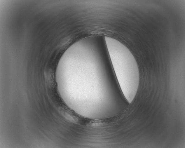 X0000081560228200701151008