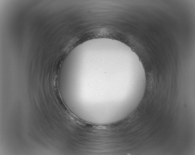 X0000081560230200701151008