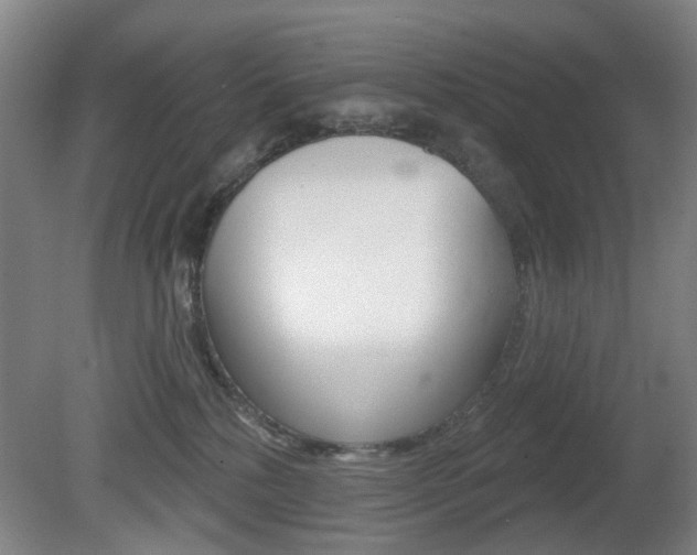 X0000081560232200701151008
