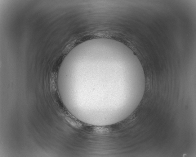 X0000081560234200701151008