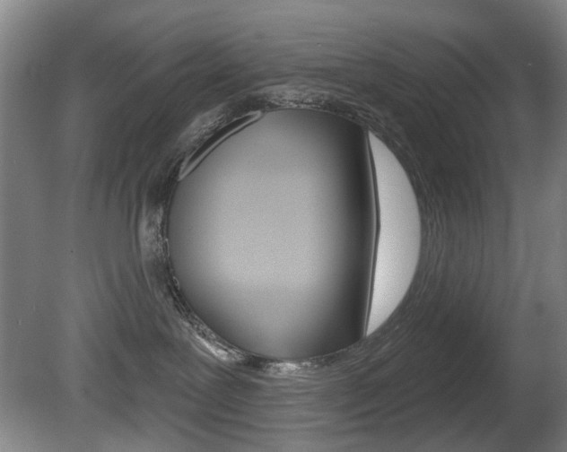 X0000081560239200701151008