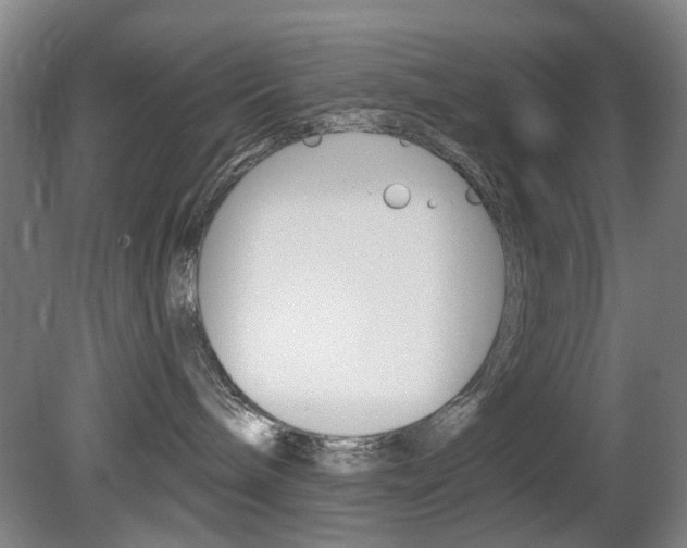 X0000081560240200701151008