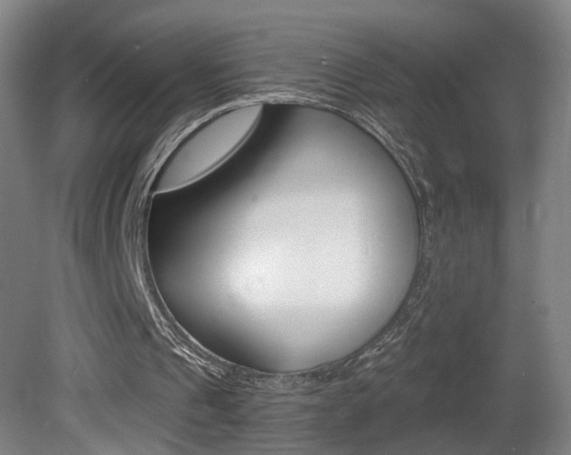 X0000081560241200701151007
