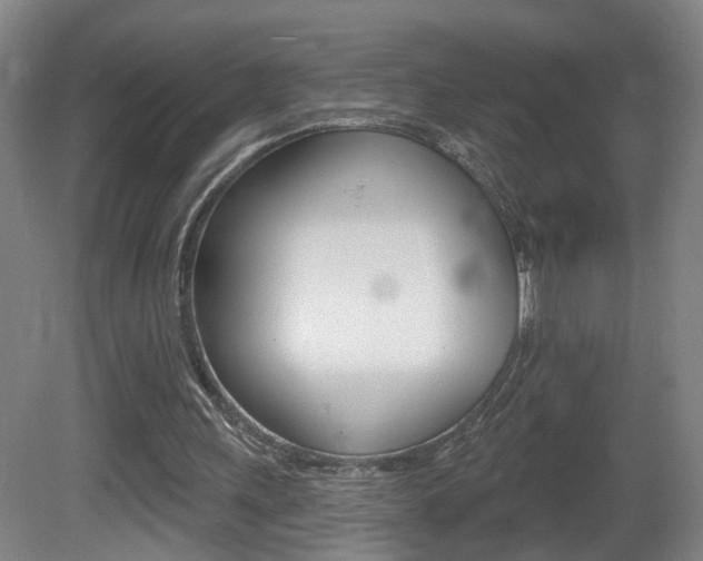 X0000081560243200701151007