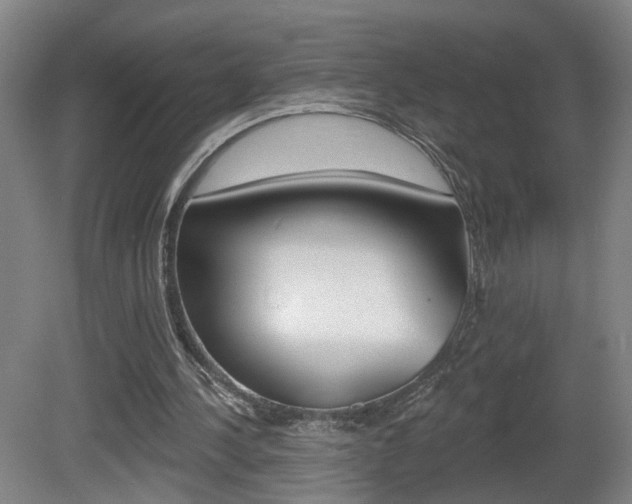 X0000081560244200701151007