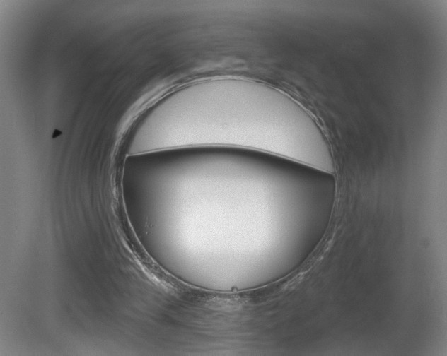X0000081560245200701151007