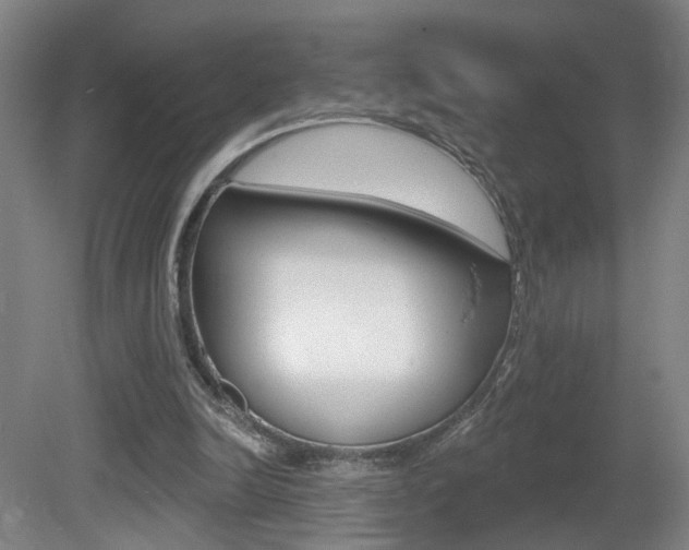 X0000081560246200701151007