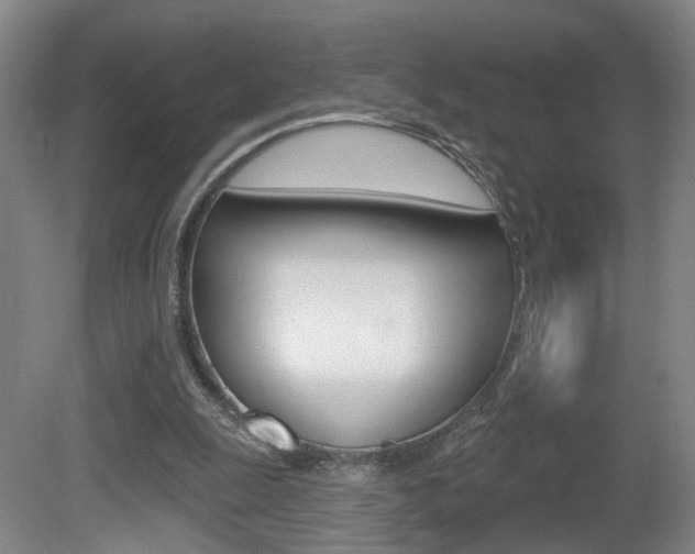 X0000081560247200701151007