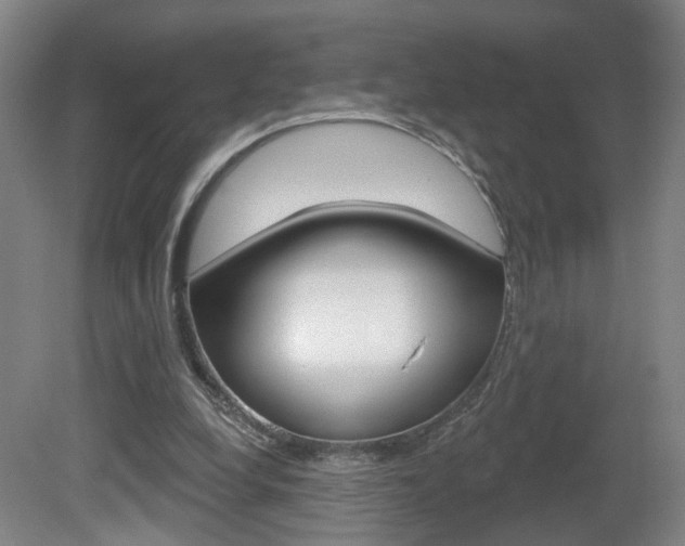 X0000081560248200701151007