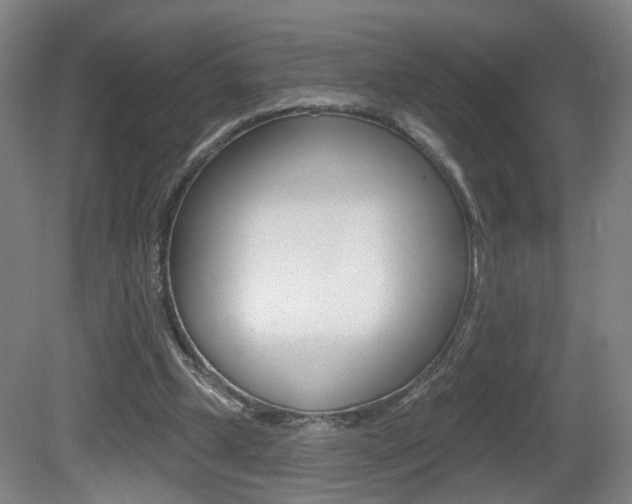 X0000081560249200701151007