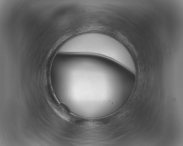 X0000081560250200701151007