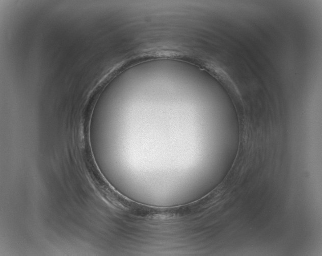 X0000081560251200701151007